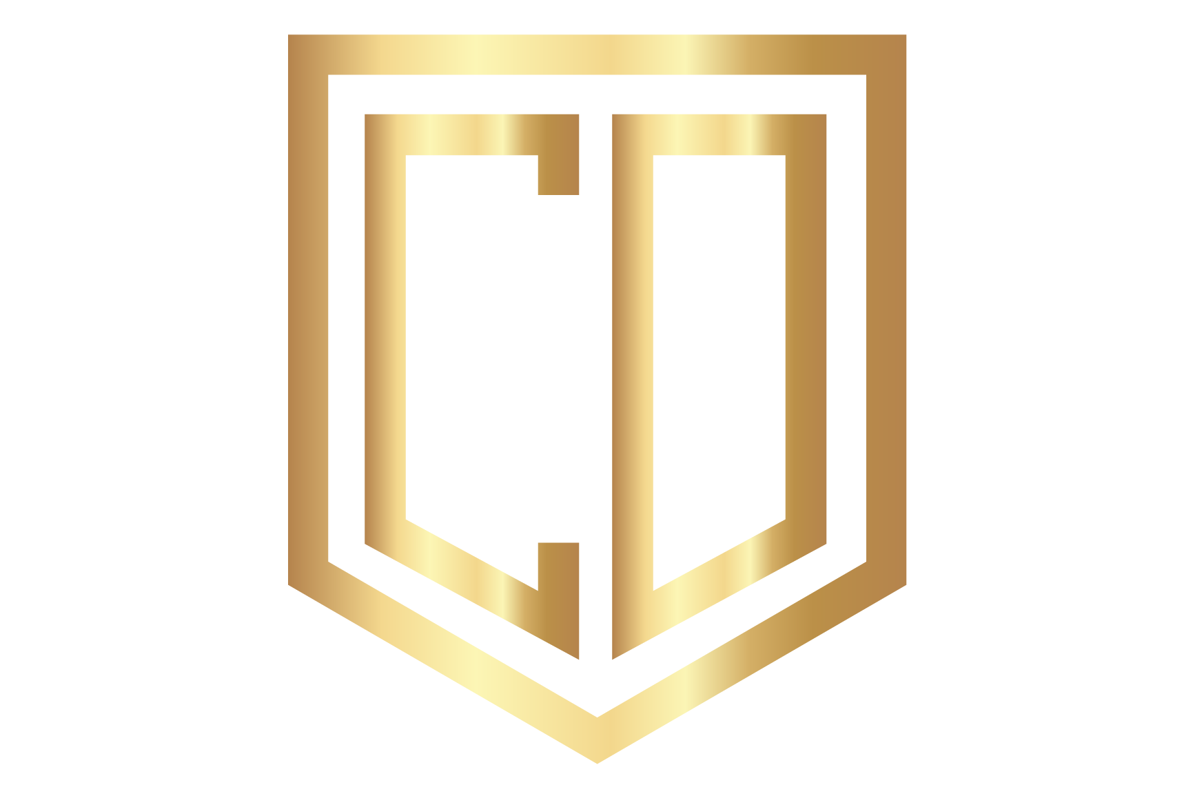 Coach Development Academy
